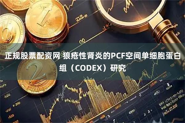 正规股票配资网 狼疮性肾炎的PCF空间单细胞蛋白组（CODEX）研究