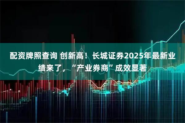 配资牌照查询 创新高！长城证券2025年最新业绩来了，“产业券商”成效显著
